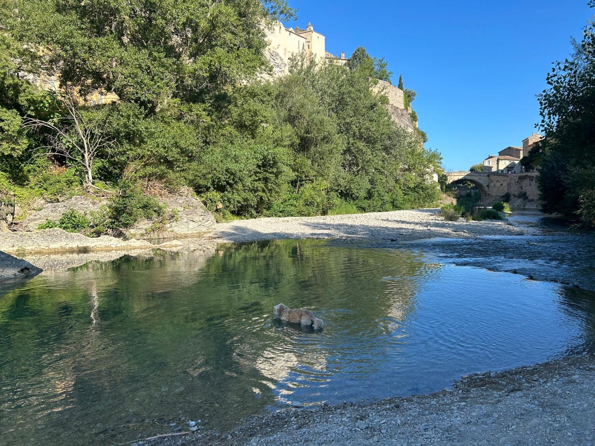 La Maison Du Pont Romain Vaison-la-Romaine Dış mekan fotoğraf